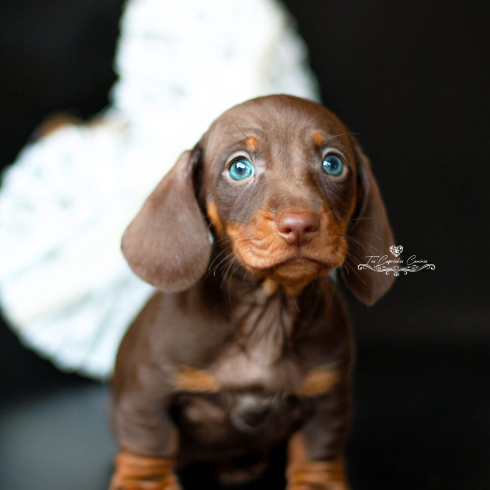 Benny 🩵 (no disponible ❌)