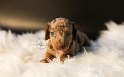 Kai 🩵 (no disponible ❌)