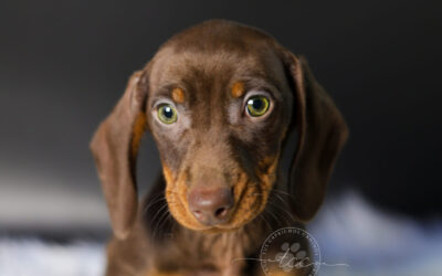 Tony 🩵 (disponible ✅)