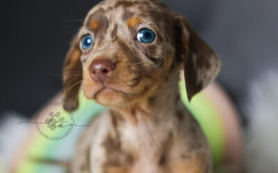 Luka 🩵 (no disponible ❌)