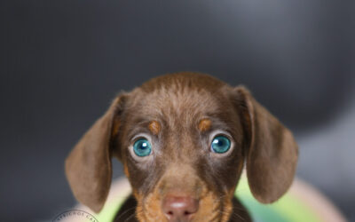 Leo 🩵 (no disponible ❌)