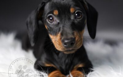 Maya 🩷 (no disponible ❌)