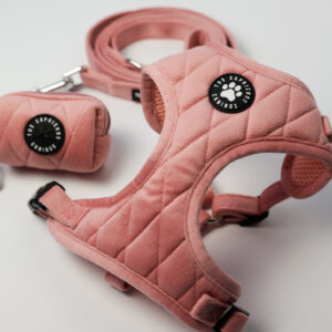 Pack arnés + correa + porta bolsas Blush Velvet