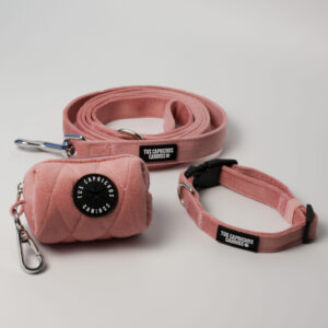 Pack collar + correa + porta bolsas Blush Velvet
