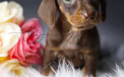 Berta 🩷 (disponible ✅)